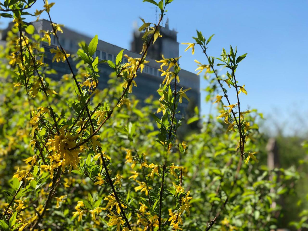 Juno Apartman Vendégház Miskolc Esterno foto